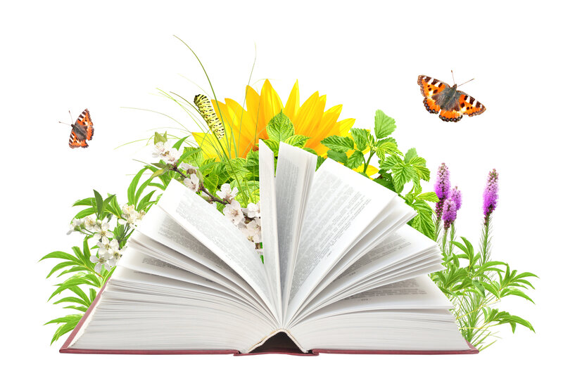 Open Book with Flowers — White, Serene, Spring