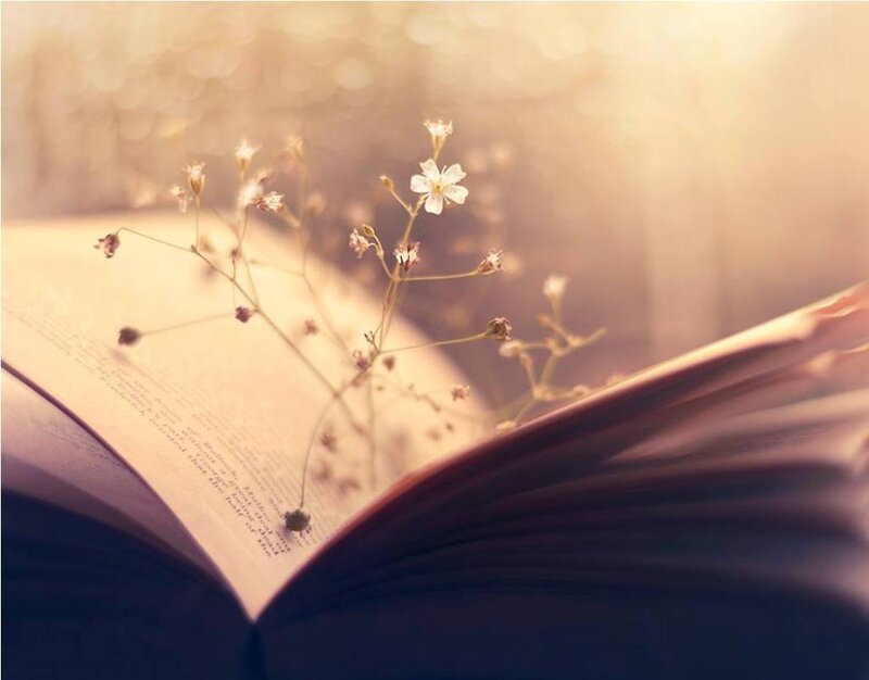 Open Book with Flowers — White, Serene, Sunset