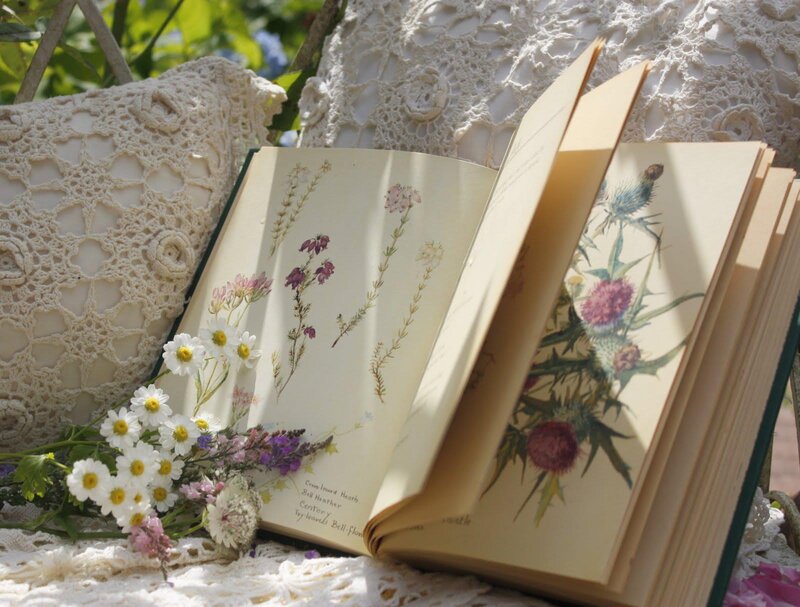 Open Book with Flowers — White, Serene