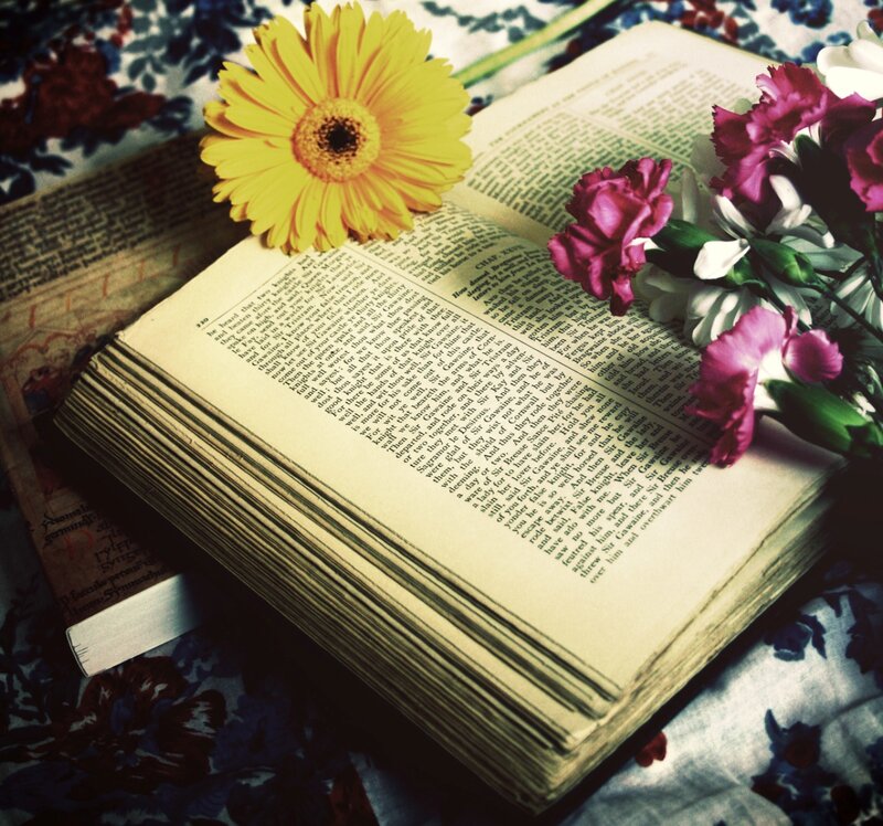 Open Book with Flowers — Yellow, Serene