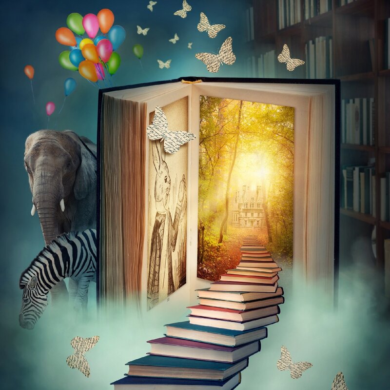 Open Book with Forest Path