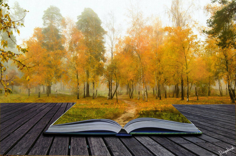 Open Book with Forest Scene
