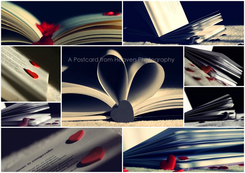 Open Book with Heart Shape