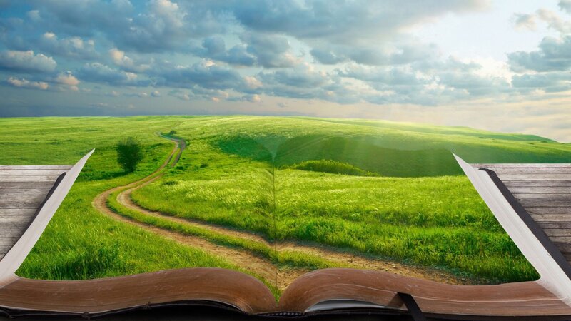 Open Book with Landscape — Green, Serene, Afternoon, Digital Art