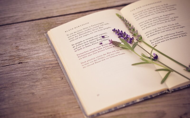 Open Book with Lavender — Brown