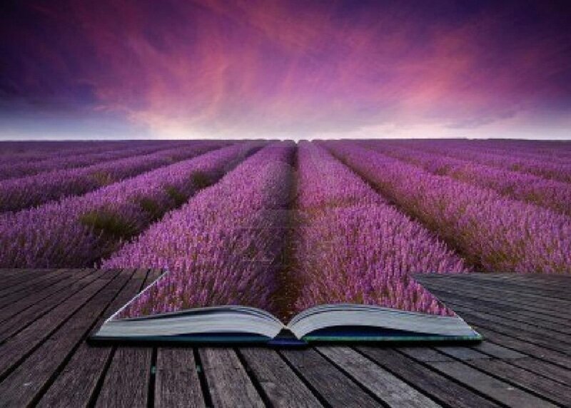 Open Book with Lavender Field