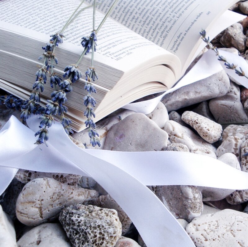Open Book with Lavender — White