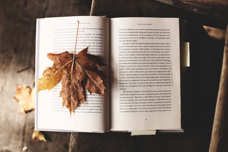 Open Book with Leaf — Brown