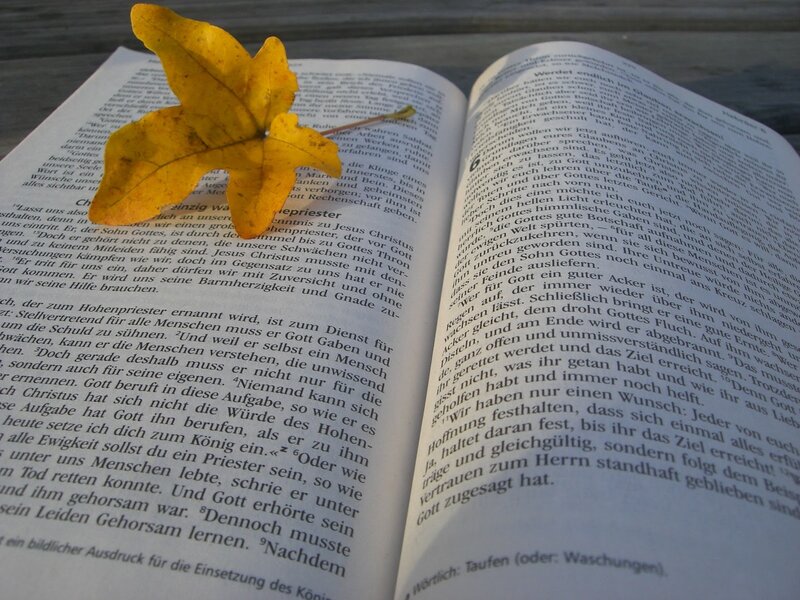 Open Book with Leaf
