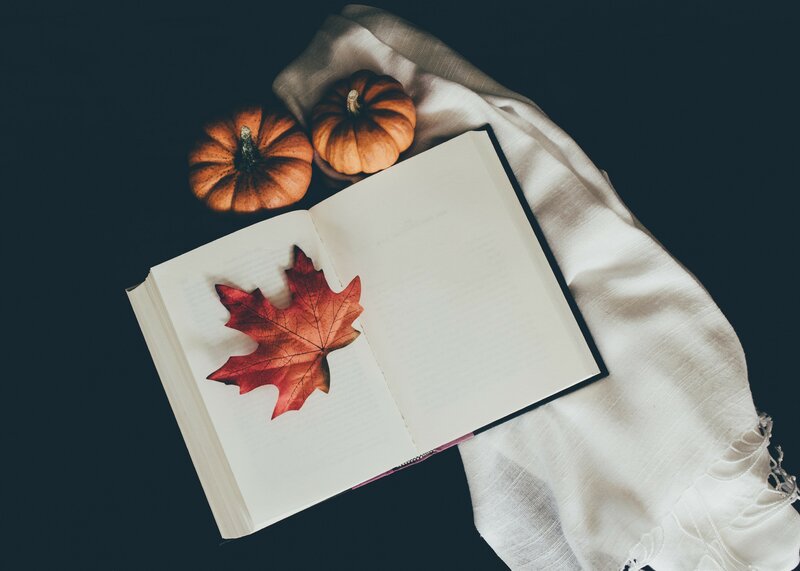 Open Book with Leaf — White
