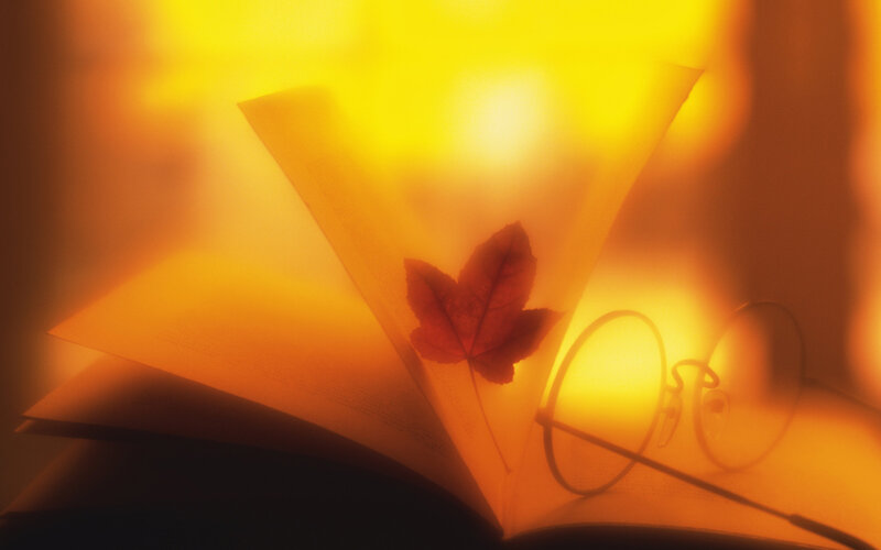 Open Book with Leaf — Yellow, Warm