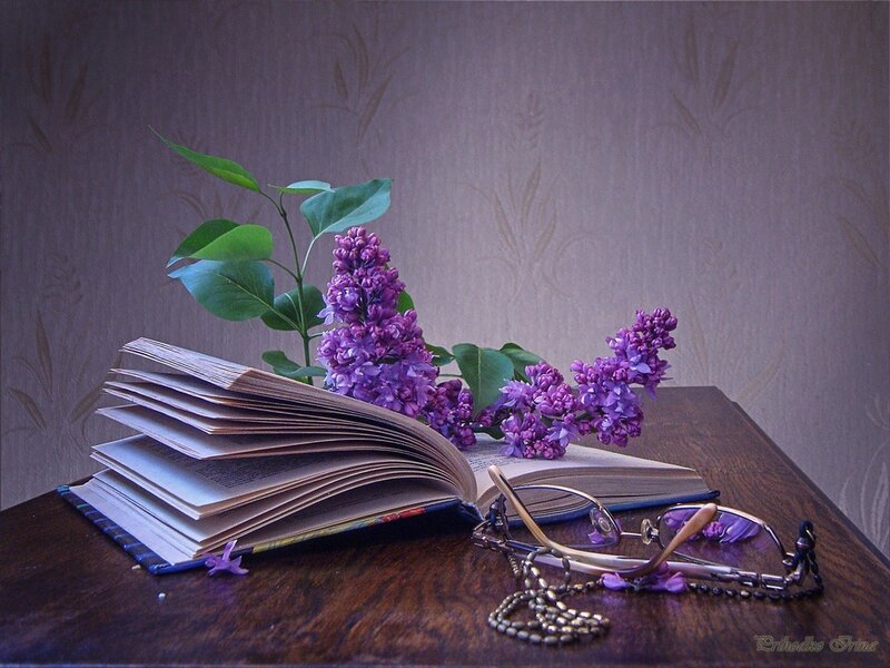 Open Book with Lilac Flowers — Purple