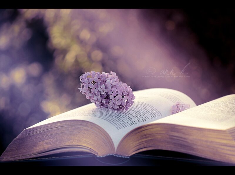 Open Book with Lilac Flowers