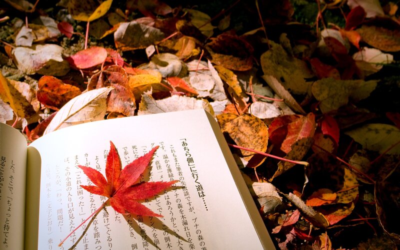 Open Book with Maple Leaf