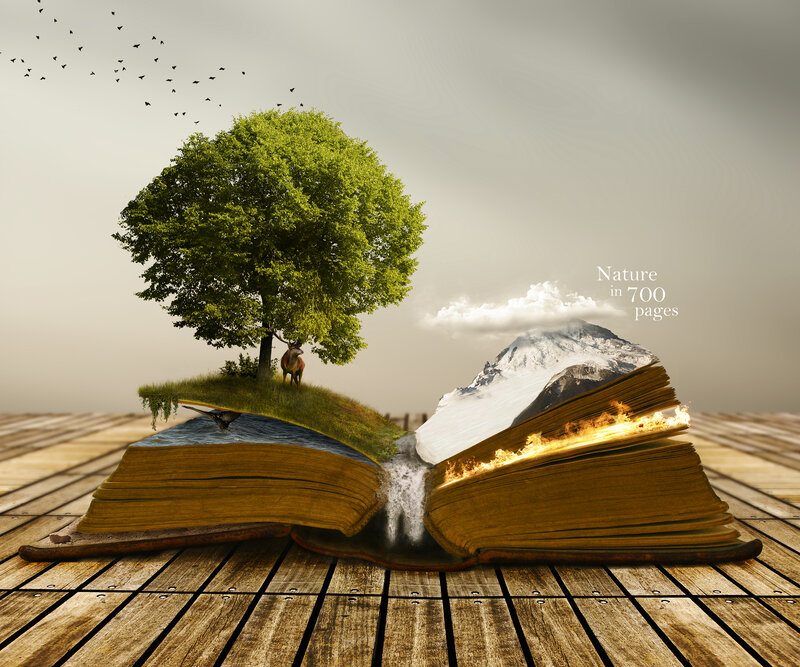 Open Book with Nature Scenes
