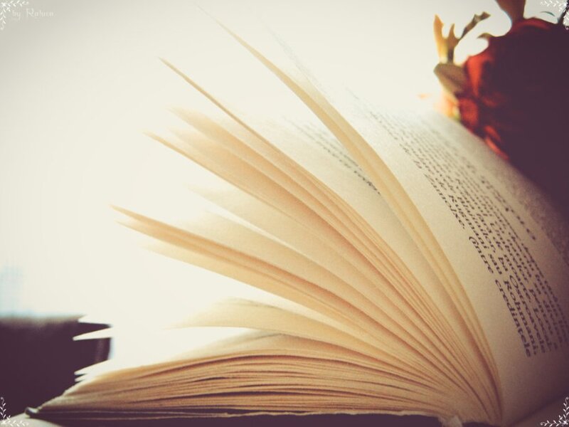 Open Book with Pages