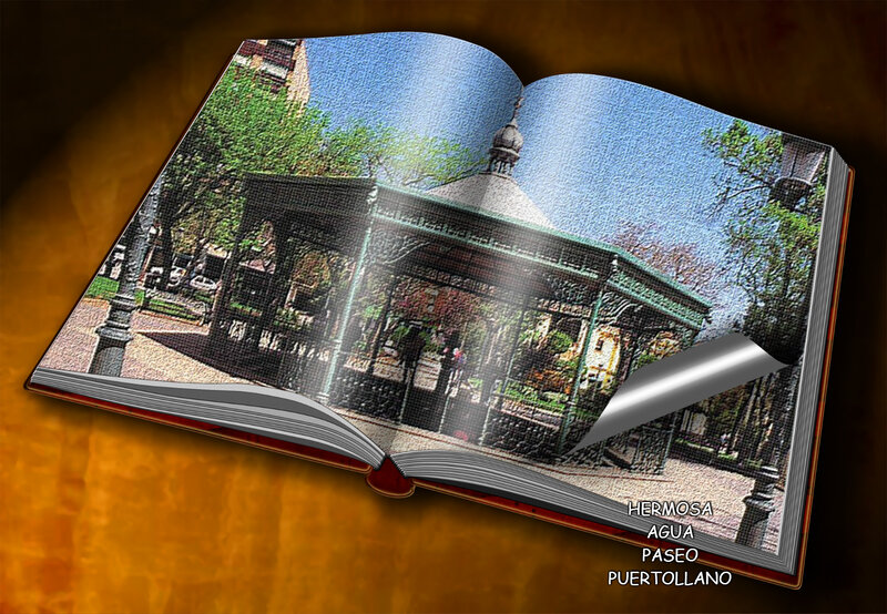 Open Book with Park Image