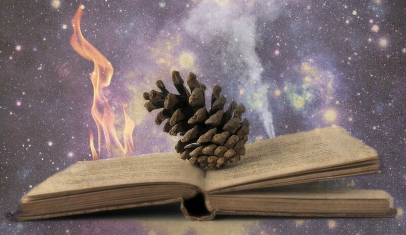 Open Book with Pinecone