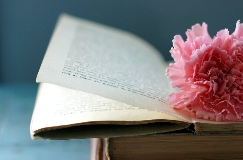 Open Book with Pink Flower — Serene, Photograph, Text