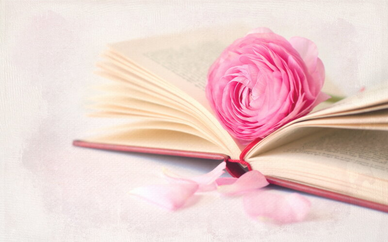 Open Book with Pink Flower — Serene, Photograph