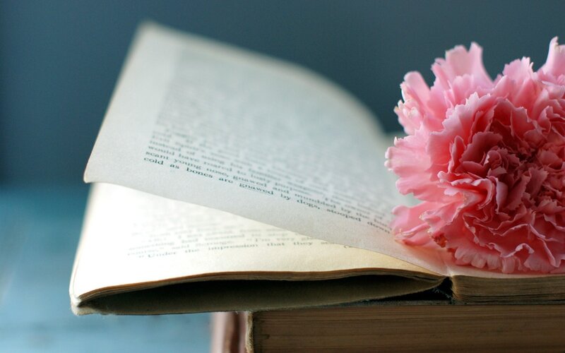 Open Book with Pink Flower — Serene
