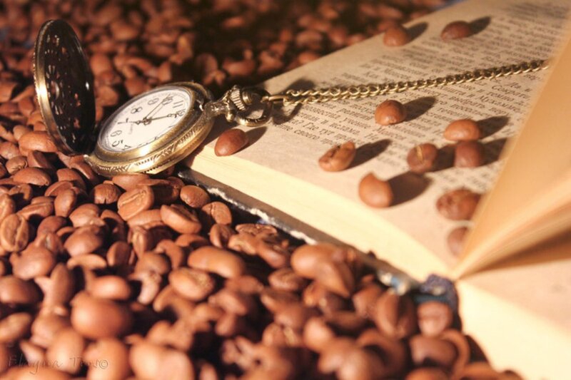 Open Book with Pocket Watch — Brown, Calm, Afternoon