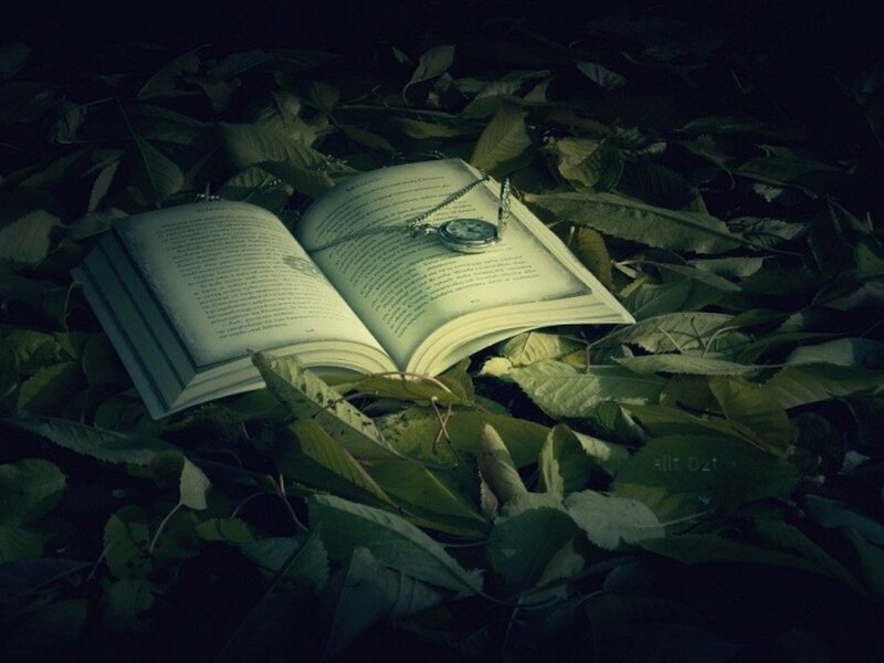 Open Book with Pocket Watch — Green