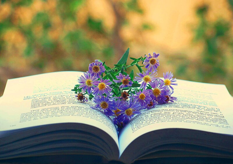 Open Book with Purple Flowers — Serene, Afternoon