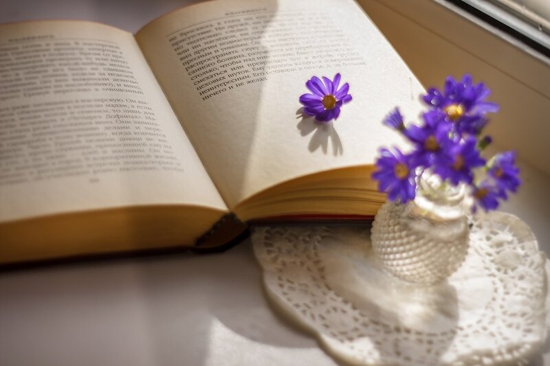 Open Book with Purple Flowers — Serene, Morning