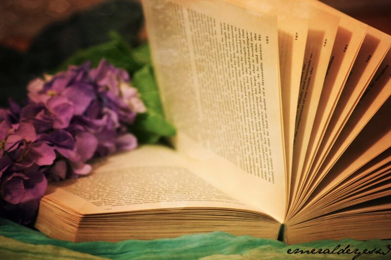 Open Book with Purple Flowers — Serene