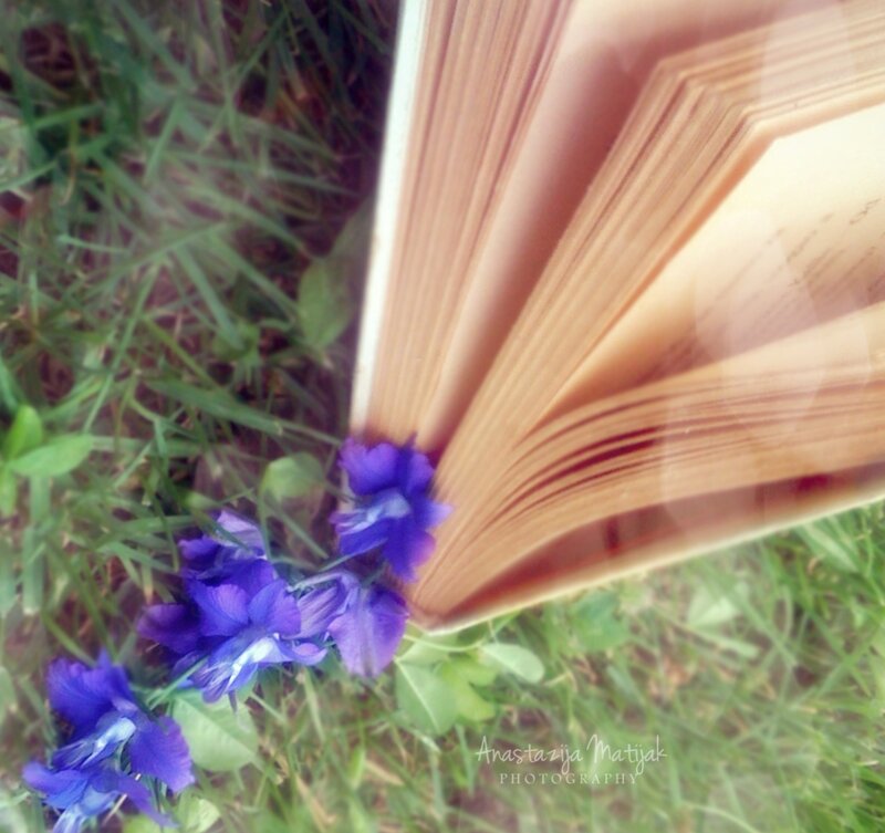 Open Book with Purple Flowers
