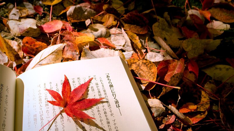 Open Book with Red Leaf