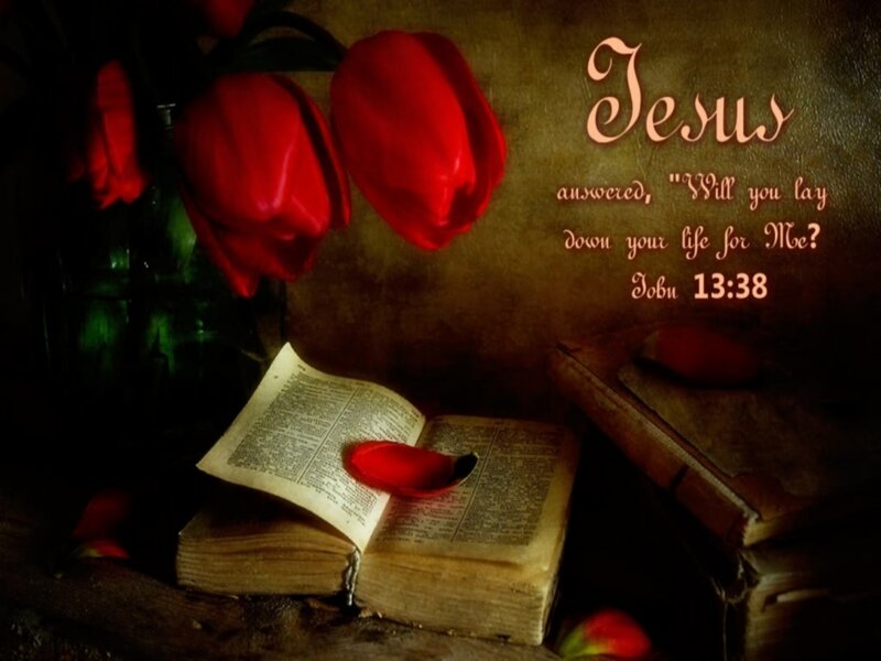 Open Book with Red Tulips