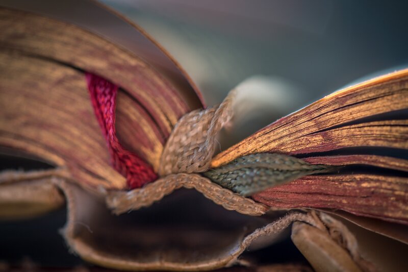 Open Book with Ribbon — Brown