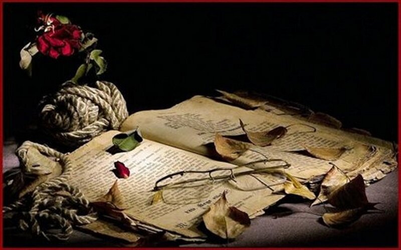 Open Book with Rose — Black, Dramatic