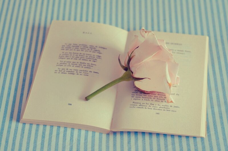 Open Book with Rose — Blue