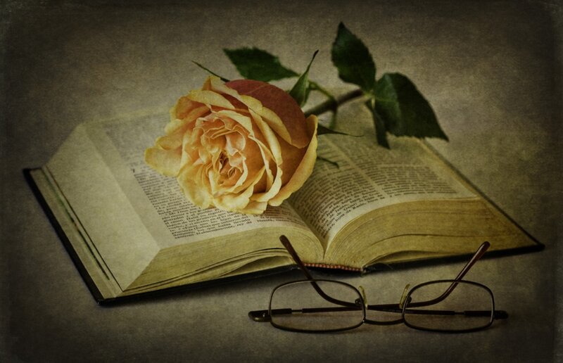 Open Book with Rose — Brown