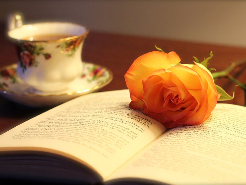 Open Book with Rose — Orange, Serene, Afternoon