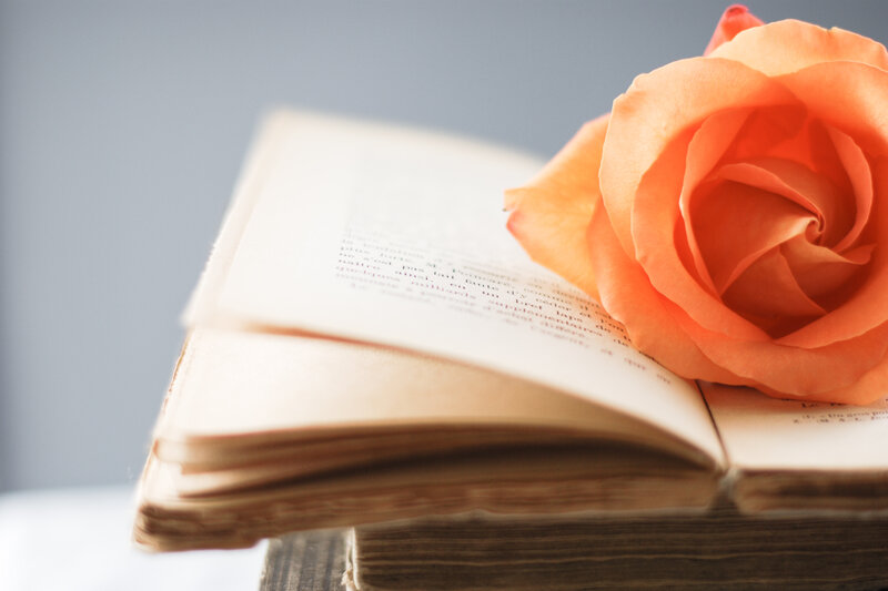 Open Book with Rose — Orange, Serene, Photograph, Text
