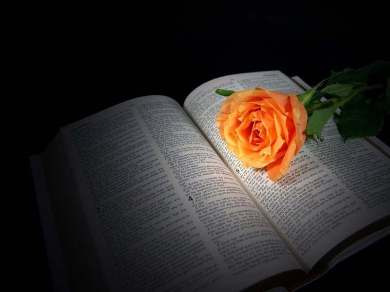 Open Book with Rose — Orange