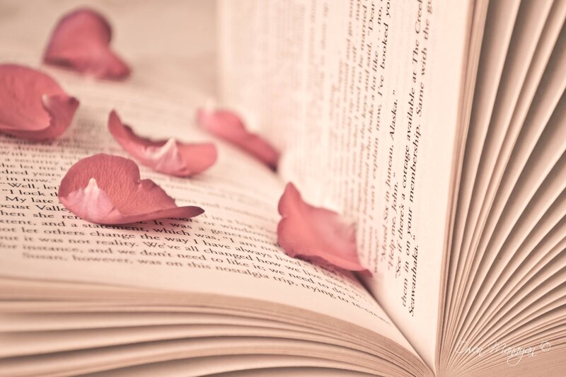 Open Book with Rose Petals — Pink
