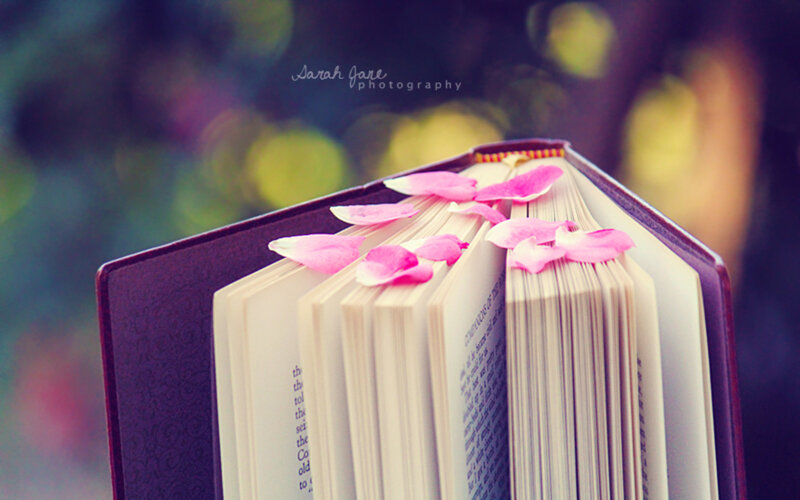 Open Book with Rose Petals — Purple