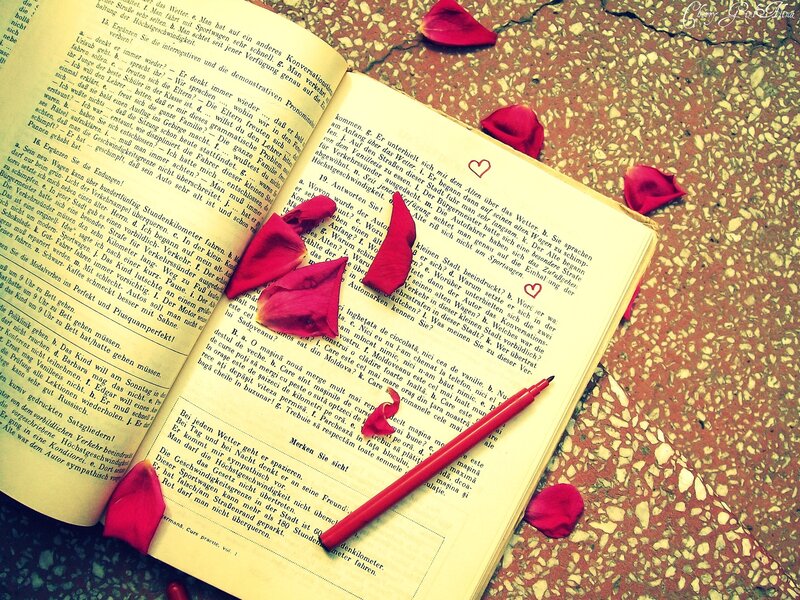 Open Book with Rose Petals — Red