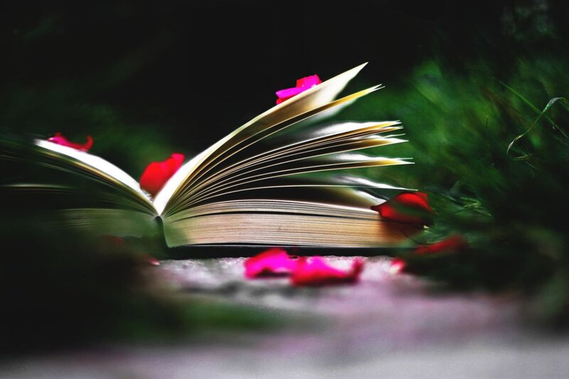 Open Book with Rose Petals