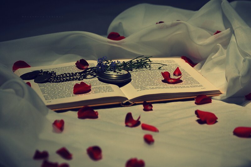 Open Book with Rose Petals — White