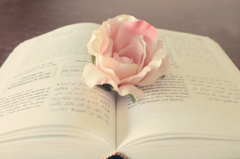 Open Book with Rose — Pink