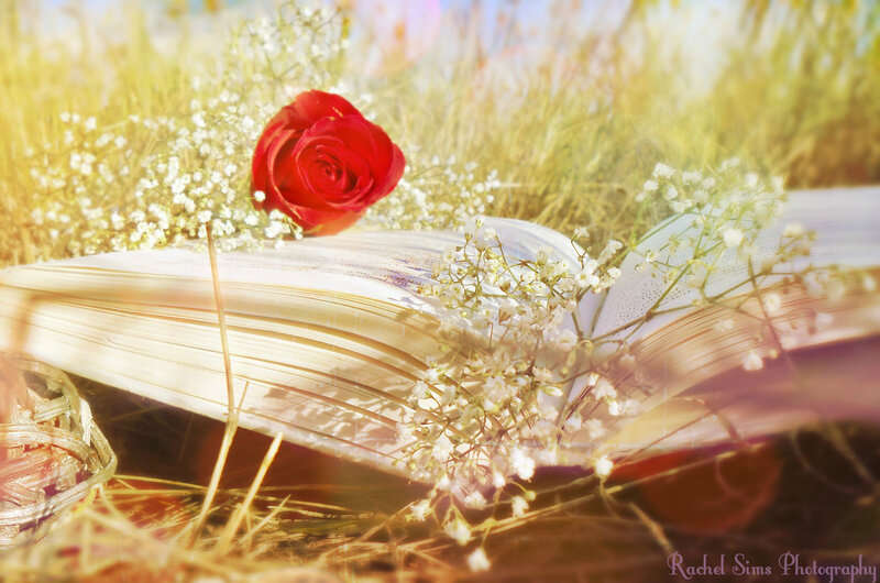 Open Book with Rose — Red, Serene