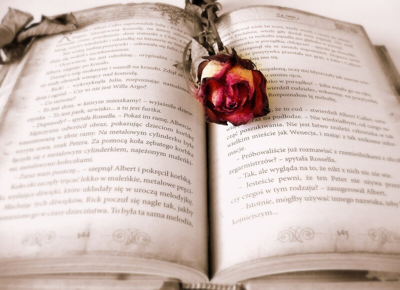 Open Book with Rose — White, Calm