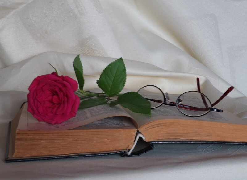 Open Book with Rose — White, Serene, Photograph, Glasses