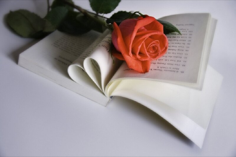 Open Book with Rose — White, Serene, Photograph